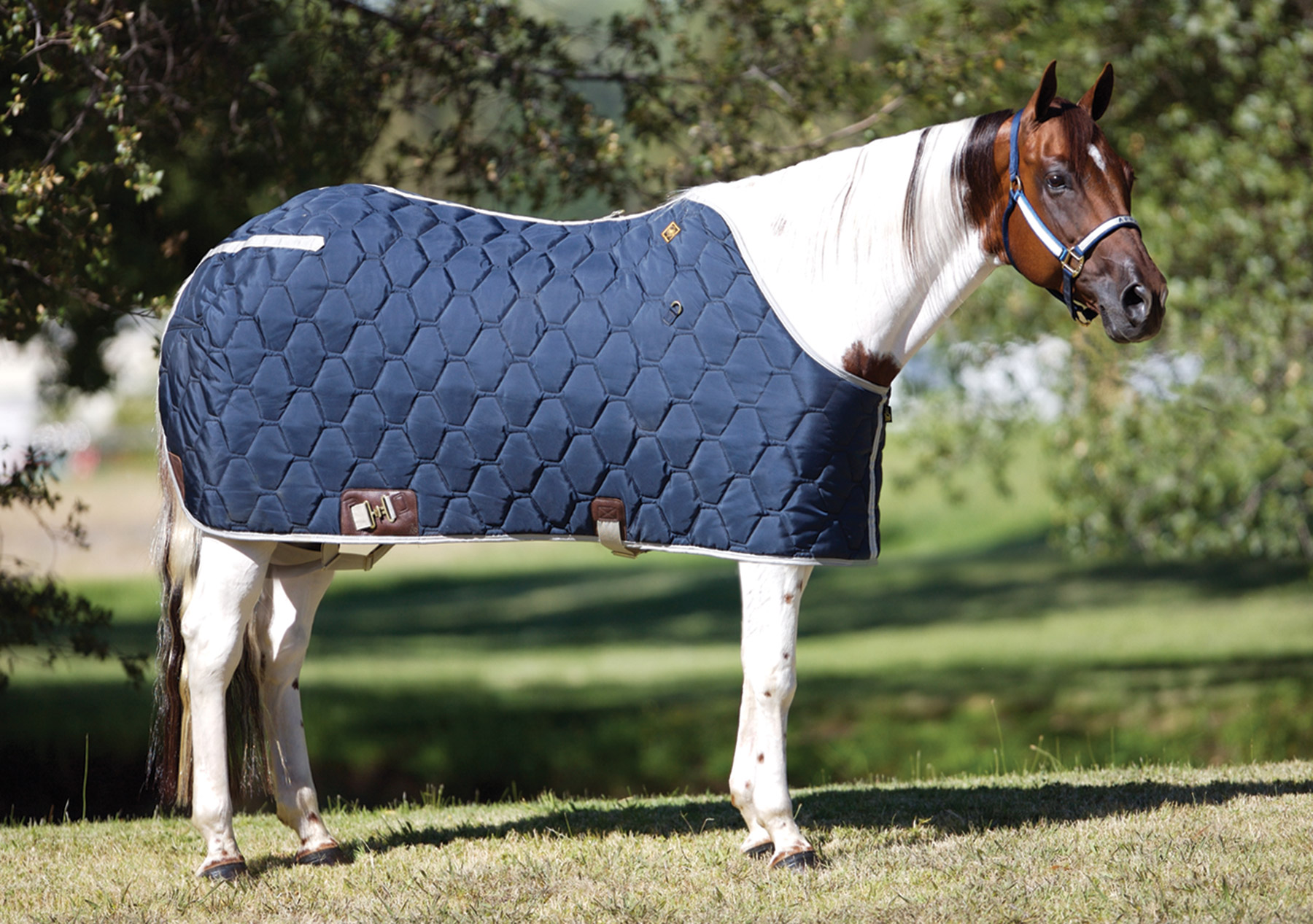 Big D The All American Stable Blanket