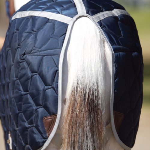 All American Blanket Big D Products