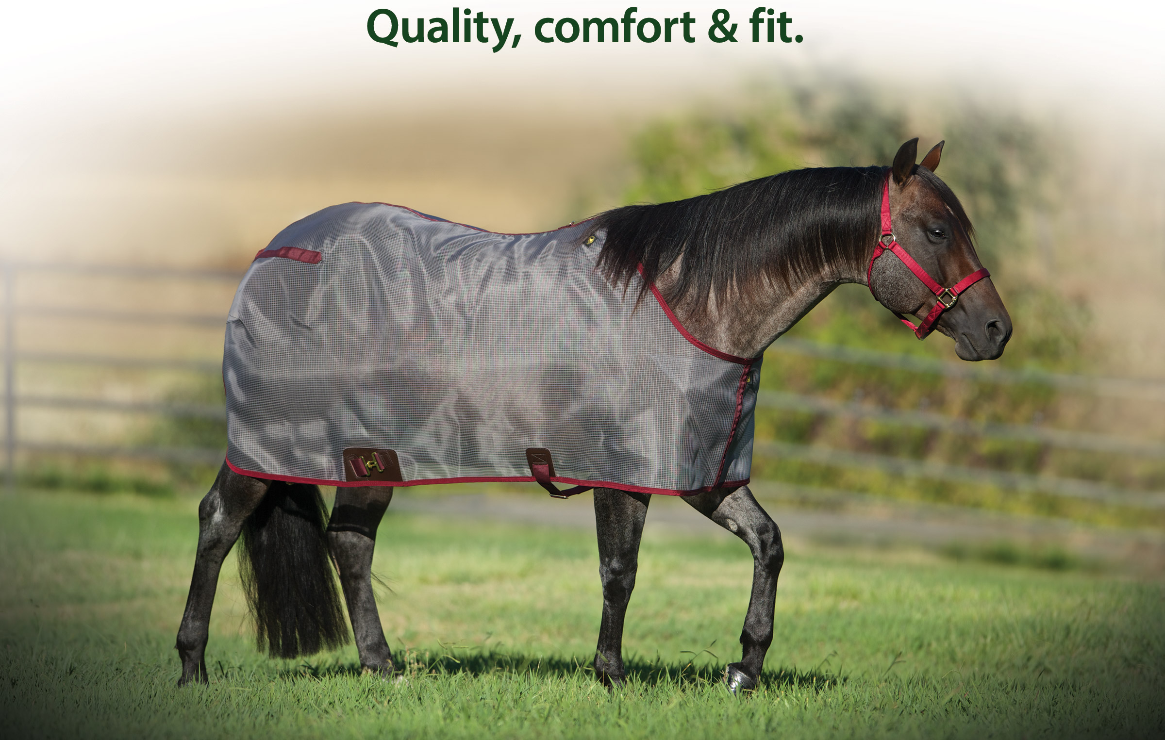 All American Big D Closed Front Stable Blanket - Horse Emporium