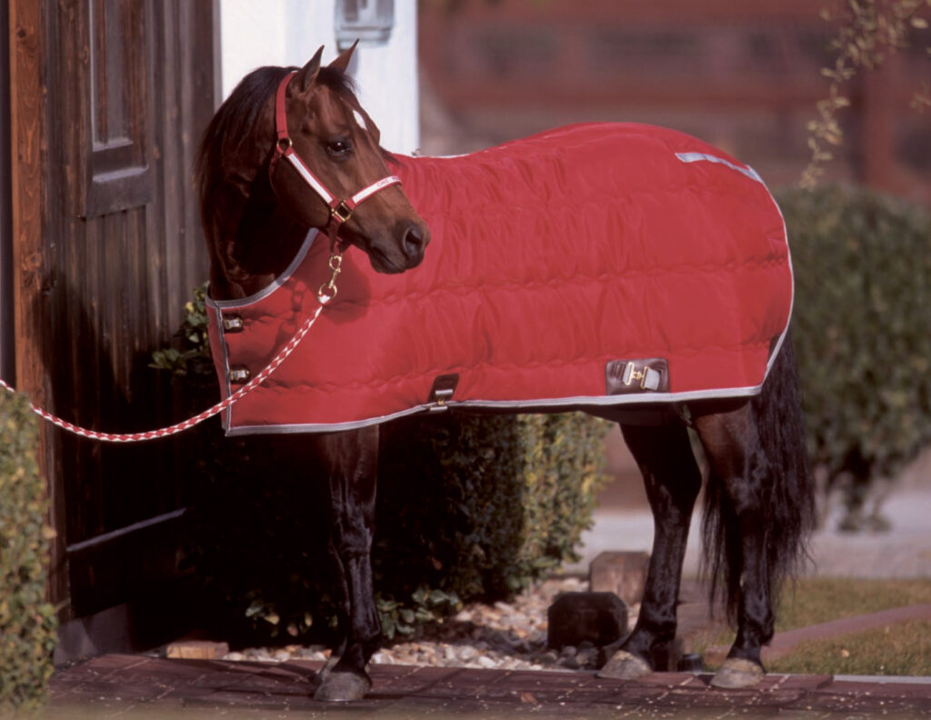 Kodiak Blanket Big D Products