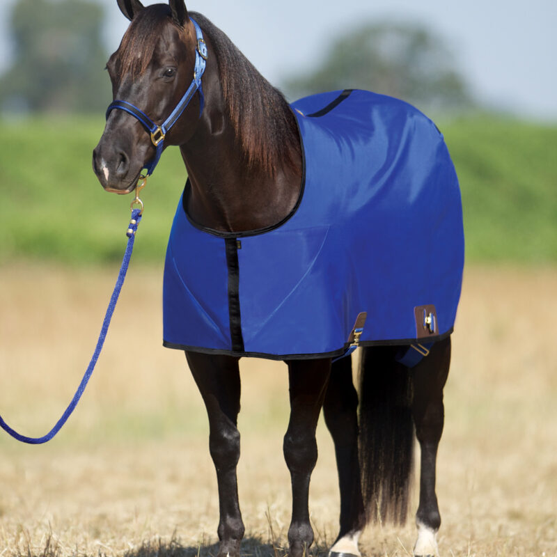 Classic Equine Open Front Nylon Stable Sheet- Aloha Blue