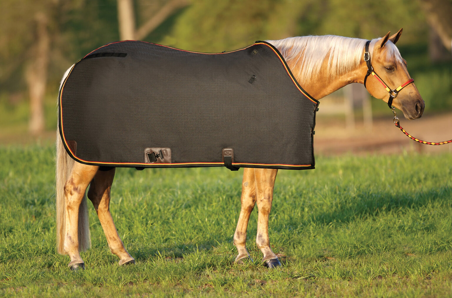 Magnum Western Big D Products