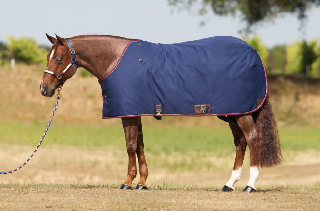 Blankets Big D Products