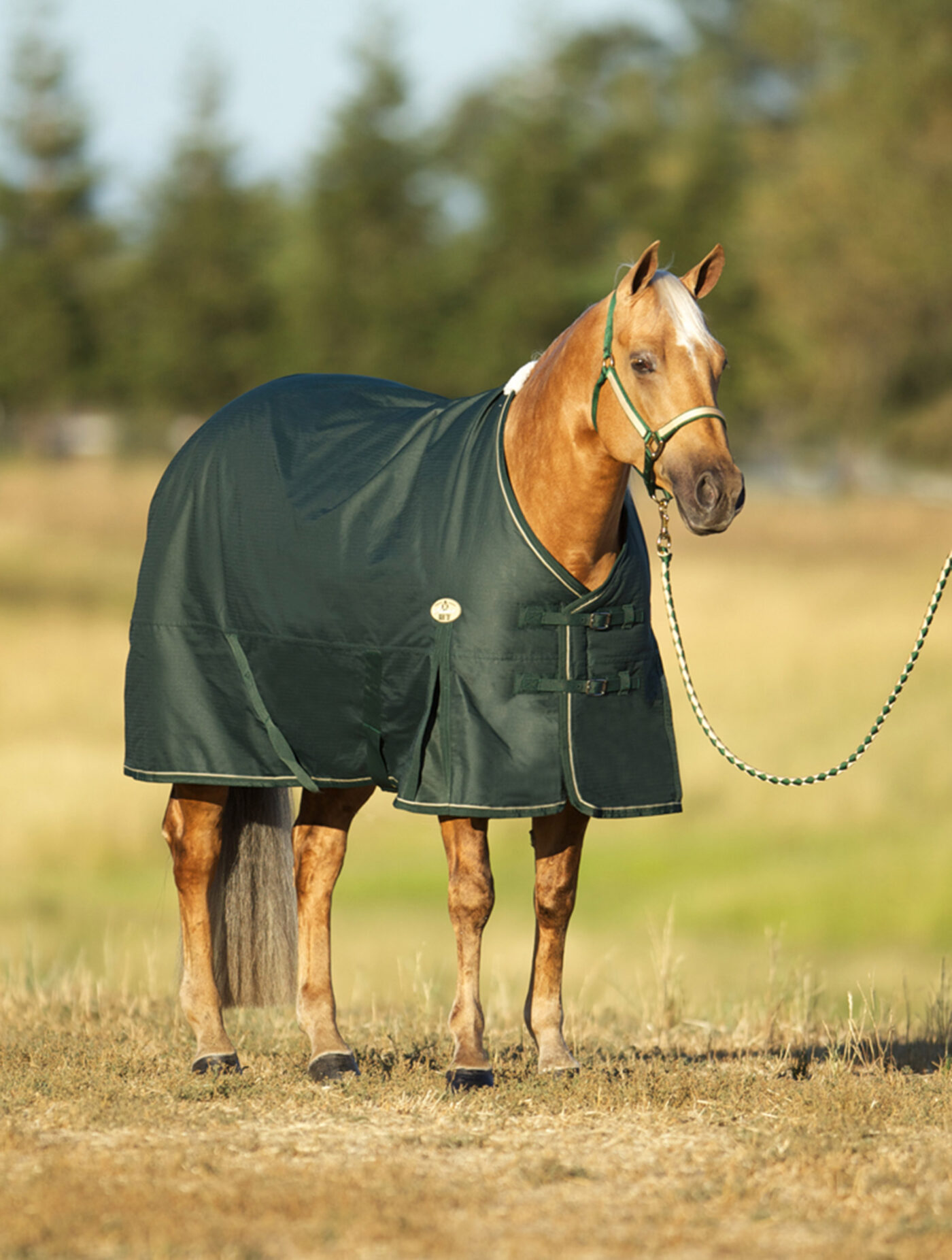 Sussex Blanket Big D Products